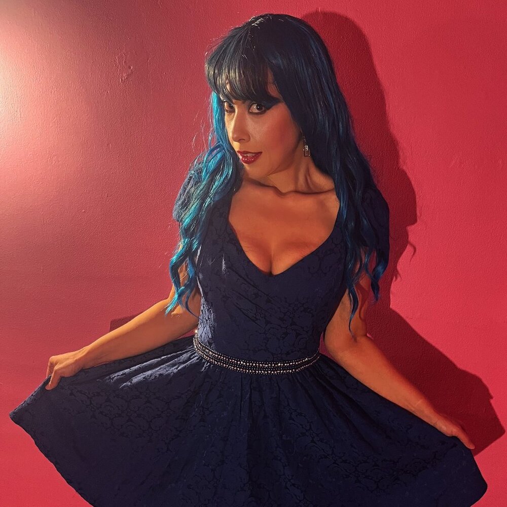 NWT ALYA FRANCESCA’S NAVY BLUE V NECK A LINE COCKTAIL DRESS LARGE